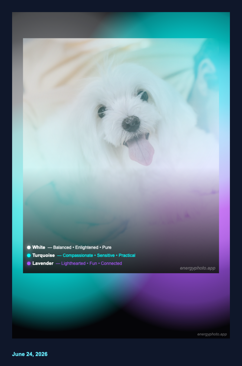 🤍 White🤵 Turquoise💜 LavenderBalanced · Compassionate · Fun